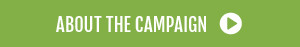 About-campaign